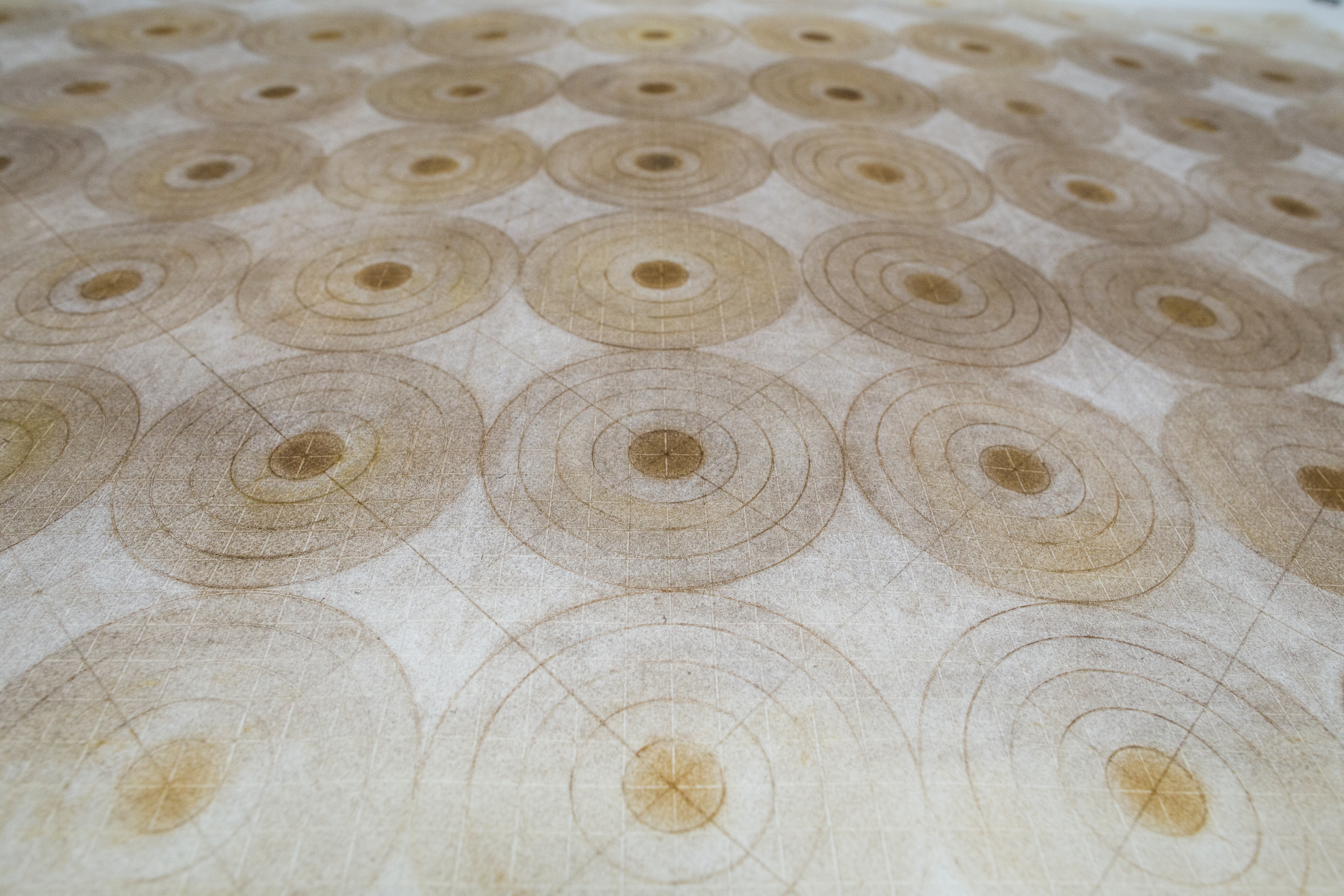 When someone is seeking (close up).jpg